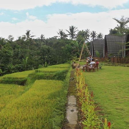 Hotel Omah Bapak Ijen Eco House à Licin Extérieur photo