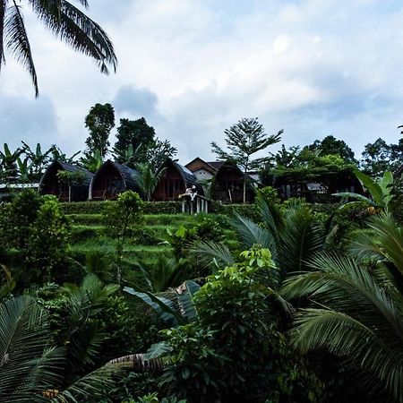 Hotel Omah Bapak Ijen Eco House à Licin Extérieur photo