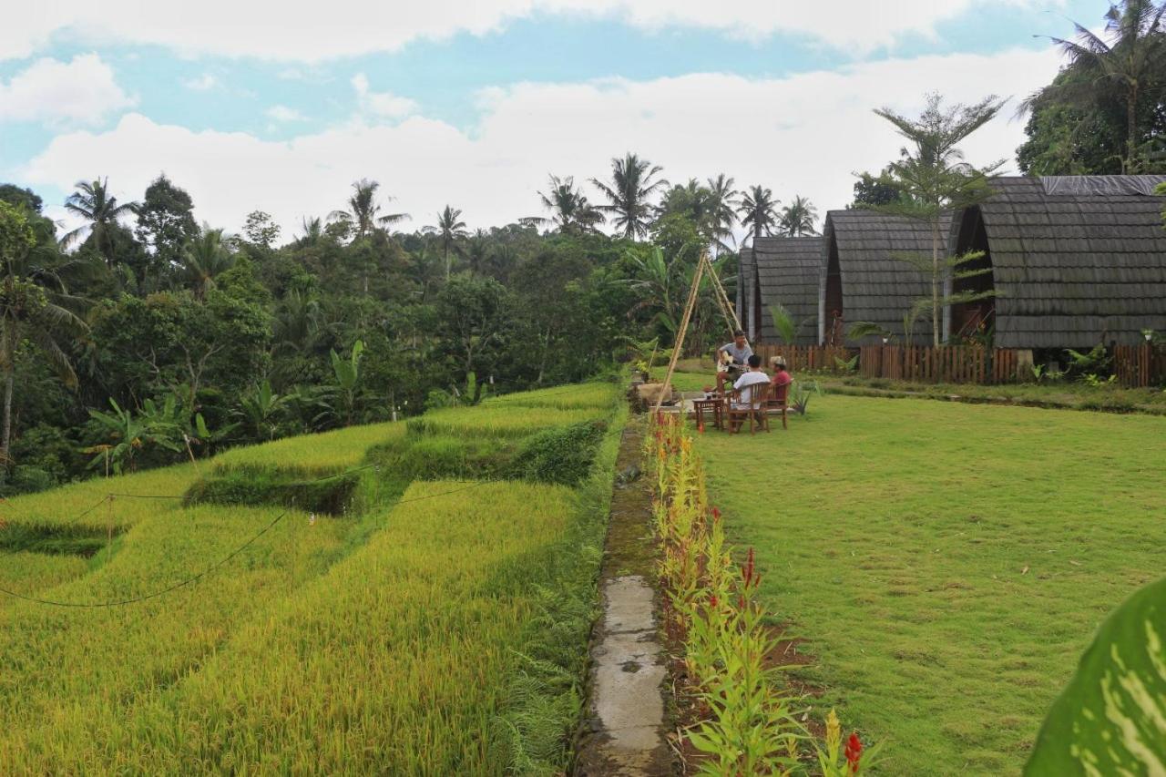 Hotel Omah Bapak Ijen Eco House à Licin Extérieur photo