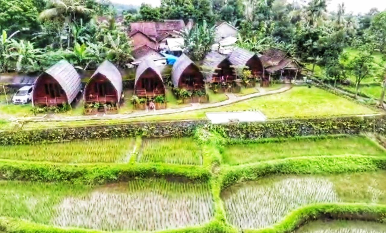 Hotel Omah Bapak Ijen Eco House à Licin Extérieur photo