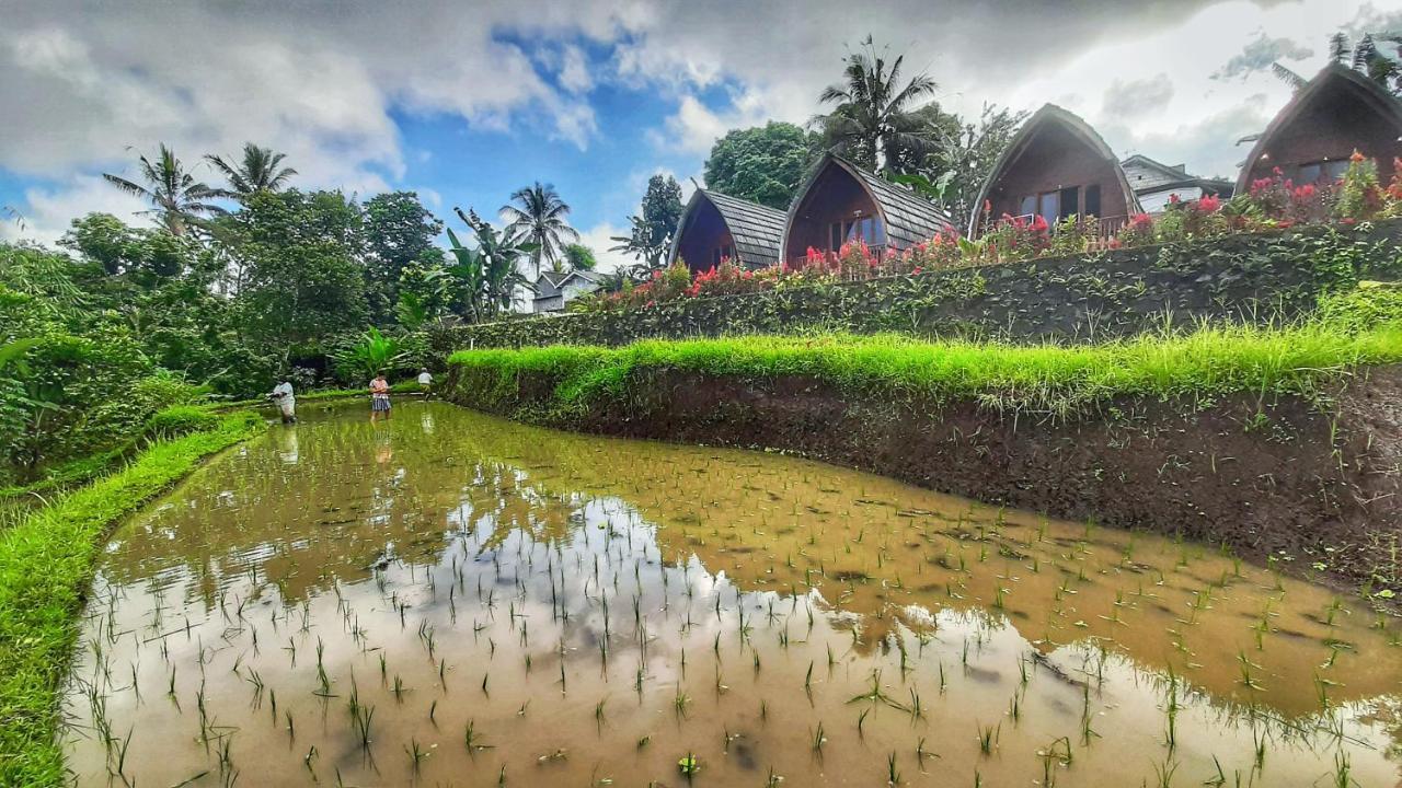Hotel Omah Bapak Ijen Eco House à Licin Extérieur photo