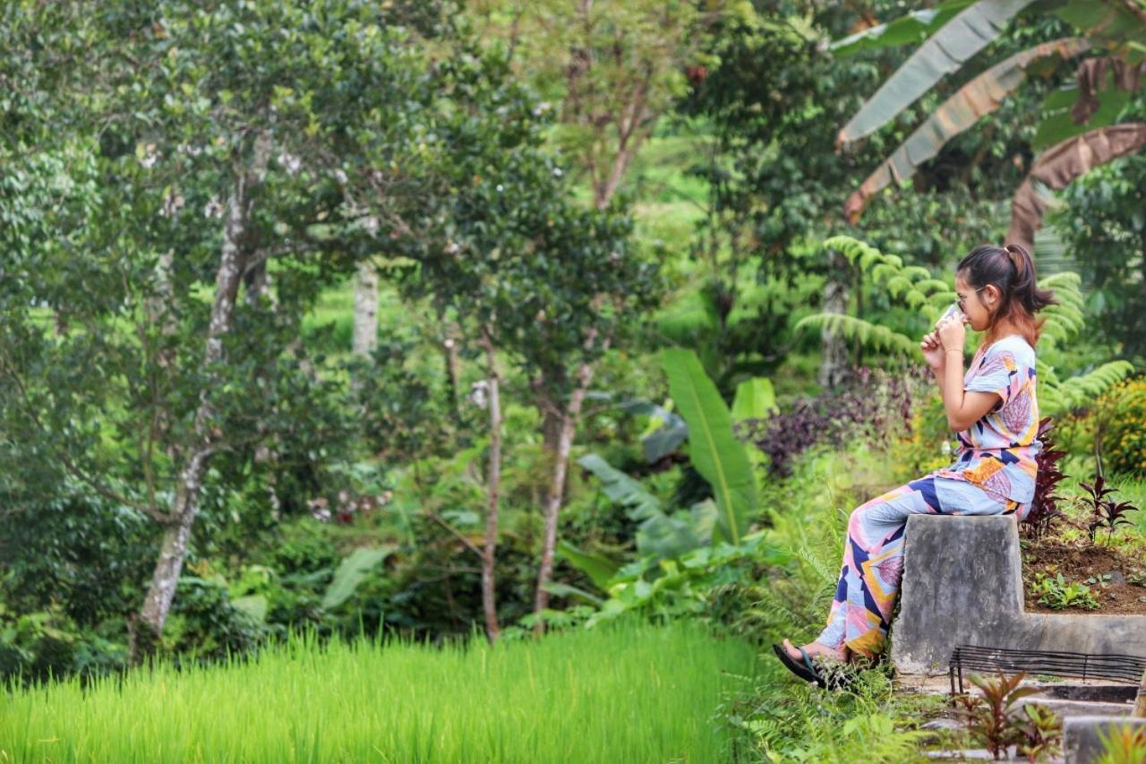 Hotel Omah Bapak Ijen Eco House à Licin Extérieur photo
