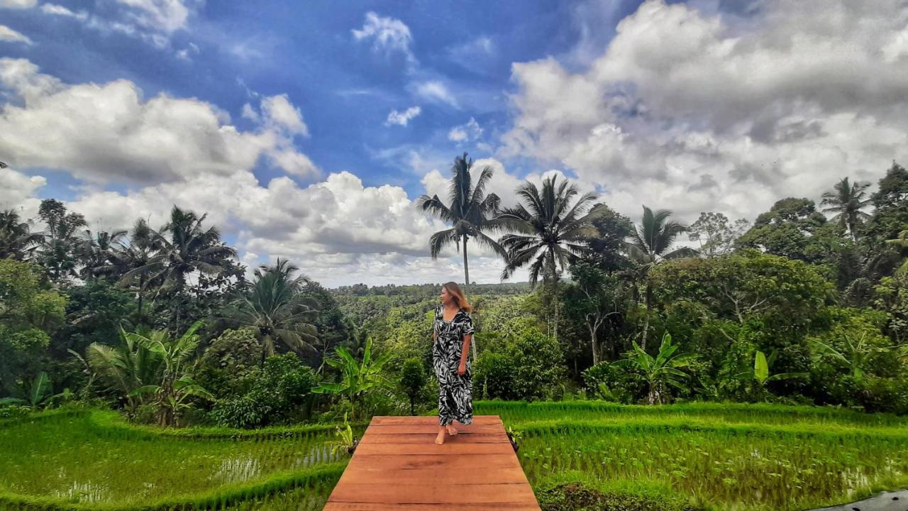 Hotel Omah Bapak Ijen Eco House à Licin Extérieur photo