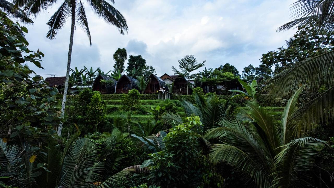 Hotel Omah Bapak Ijen Eco House à Licin Extérieur photo