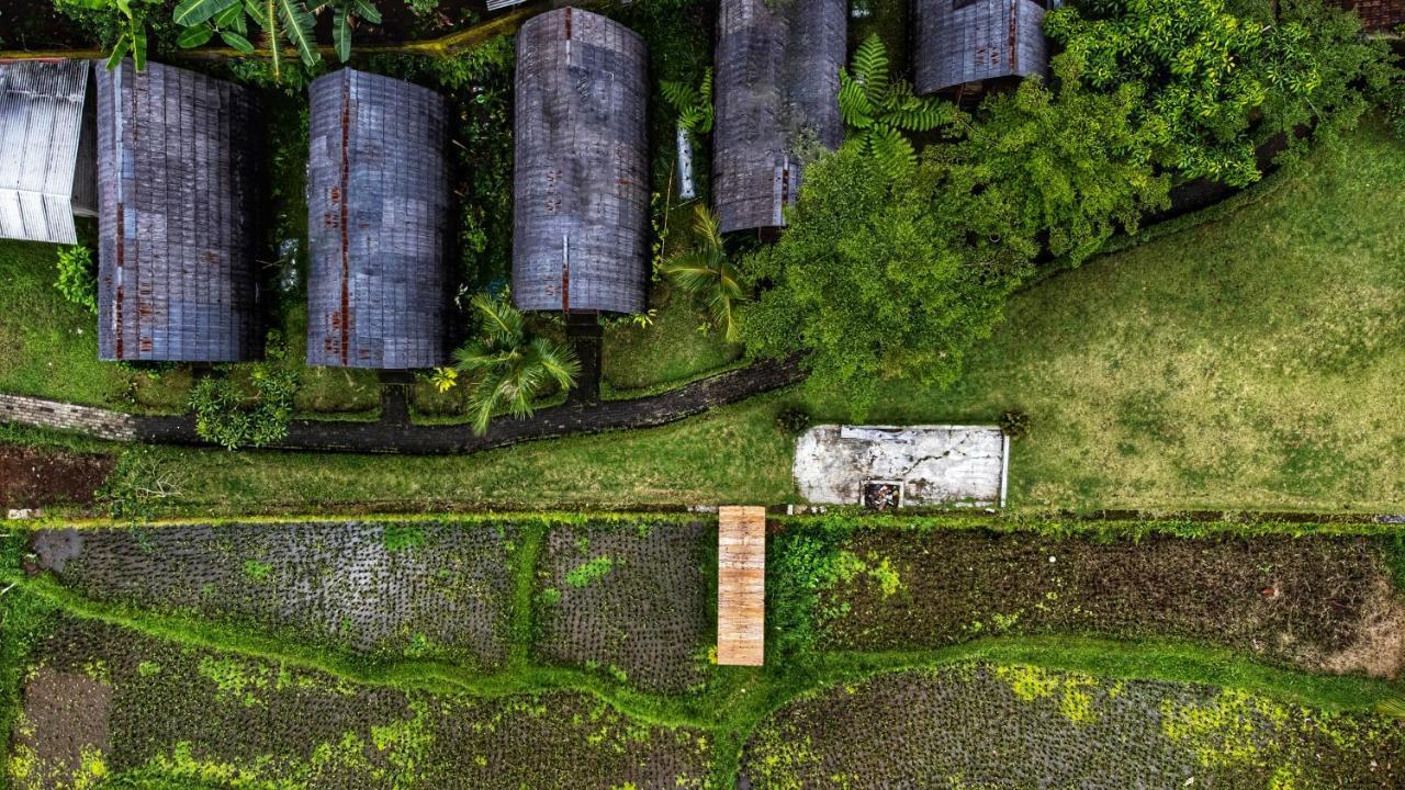 Hotel Omah Bapak Ijen Eco House à Licin Extérieur photo
