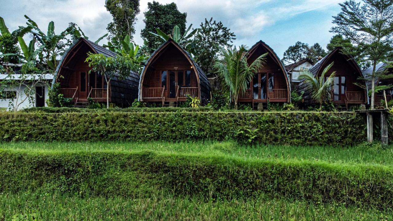 Hotel Omah Bapak Ijen Eco House à Licin Extérieur photo